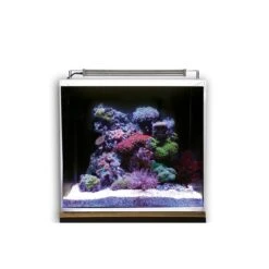 Dupla Marin Meerwasseraquarium Ocean Cube 50 Set 12 Dupla Marin Meerwasseraquarium Ocean Cube 50 Set -Heimtierbedarf Angebote dupla marin meerwasseraquarium ocean cube 50 set 5tE4lemMMniTDO