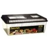 Exo Terra Faunarium Flach 460x300x170 Mm - Large (L)