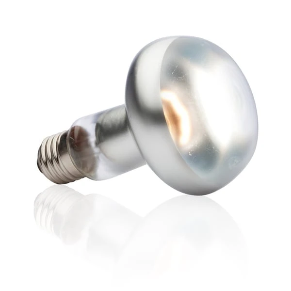 Exo Terra Intense Basking Spot 4+1 Gratis 100 Watt 4 Exo Terra Intense Basking Spot 4+1 Gratis 100 Watt – Bild 2