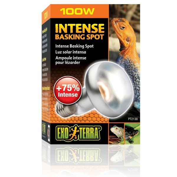 Exo Terra Intense Basking Spot 4+1 Gratis 100 Watt 3 Exo Terra Intense Basking Spot 4+1 Gratis 100 Watt