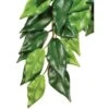 Exo Terra Ficus Kunstpflanze Für Terrarien -Heimtierbedarf Angebote exoterra ficus terrariumpflanze525548c59f4e0