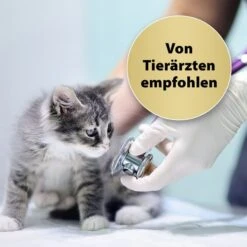 Felisept Home Comfort Raumdiffuser Set Für Katzen 45ml -Heimtierbedarf Angebote felisept home comfort raumdiffuser set fur katzen 45ml 4