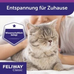 Feliway Classic Verdampfer 1 Monats-Nachfüllflakon 48ml -Heimtierbedarf Angebote feliway classic verdampfer 1 monats nachfullflakon 48ml 5x8sDvI4DE5Fbo