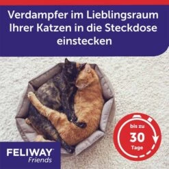 Feliway­­­ Friends Verdampfer Start-Set 48ml -Heimtierbedarf Angebote feliway friends verdampfer start set 48ml 4BE45zyRcQ6Y3F