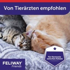 Feliway­­­ Friends Verdampfer Start-Set 48ml -Heimtierbedarf Angebote feliway friends verdampfer start set 48ml 758x2ZgdegbYhk