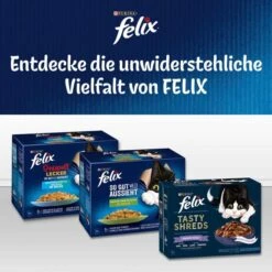 FELIX So Gut Wie Es Aussieht In Gelee Mit Lachs -Heimtierbedarf Angebote felix entdecke vielfalttWlHyAHoBiDdI