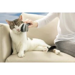 FURminator Doppelbürste Für Hund Und Katze 11 FURminator Doppelbürste Für Hund Und Katze -Heimtierbedarf Angebote furminator doppelbuerste hund katze 5