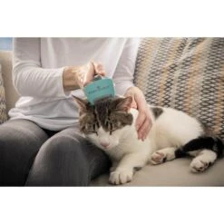 FURminator Katze Langhaar Bürste Für Unterwolle 11 FURminator Katze Langhaar Bürste Für Unterwolle -Heimtierbedarf Angebote furminator katze buerste unterwolle s alle5e2036783b314