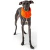 GF Pet Scout Schlauchschal Orange -Heimtierbedarf Angebote gfpet scout schlauchschal orange 2