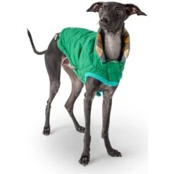GF Pet Reversible Trail Jacke Grün