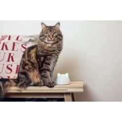 SureFeed Mikrochip Futterautomat Connect + Hub 18 SureFeed Mikrochip Futterautomat Connect + Hub -Heimtierbedarf Angebote hub 25d316bf24a70a