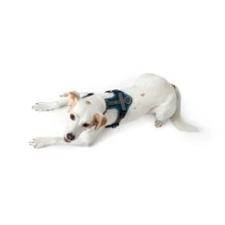 Hunter Geschirr Maldon Petrol 10 Hunter Geschirr Maldon Petrol -Heimtierbedarf Angebote hunter geschirr maldon petrol 4