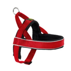 Hunter Norwegergeschirr Racing, Rot/schwarz