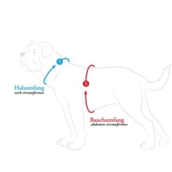 Hunter Geschirr Maldon Petrol 11 Hunter Geschirr Maldon Petrol -Heimtierbedarf Angebote hunter umfang608ac71f9080b