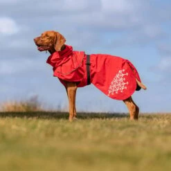 Heimtierbedarf Angebote -Heimtierbedarf Angebote ienergy lun regenjacke 2