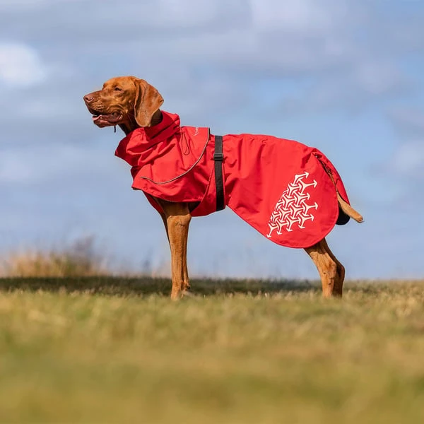 IEnergy LUN Hunderegenmantel 4 IEnergy LUN Hunderegenmantel – Bild 2