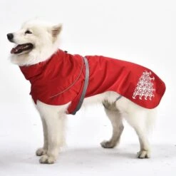 IEnergy LUN Hunderegenmantel 16 IEnergy LUN Hunderegenmantel -Heimtierbedarf Angebote ienergy lun regenjacke 5