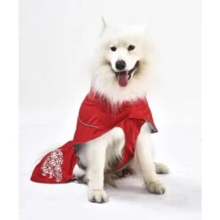 IEnergy JUD Hundewintermantel -Heimtierbedarf Angebote ienergy wintermantel jud 4