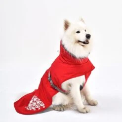 IEnergy JUD Hundewintermantel -Heimtierbedarf Angebote ienergy wintermantel jud 5