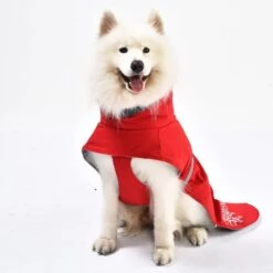 IEnergy JUD Hundewintermantel -Heimtierbedarf Angebote ienergy wintermantel jud 6