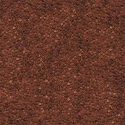 JBL ProPond Herbstfutter Für Koi 5 JBL ProPond Herbstfutter Für Koi -Heimtierbedarf Angebote jbl propond herbstfutter fuer koi s