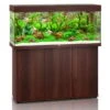 Juwel Rio 240 LED Komplett Aquarium Mit Unterschrank SBX -Heimtierbedarf Angebote juwel rio 240 led sbx kombination dunkelbraun