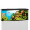 Juwel Rio 450 LED Komplett Aquarium Ohne Schrank -Heimtierbedarf Angebote juwel rio 450 led sbx ohne Schrank schwarz