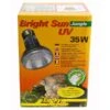 Lucky Reptile Bright Sun UV Jungle 35W -Heimtierbedarf Angebote lucky reptile bright sun uv jungle 35w