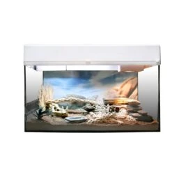 Lucky Reptile Terrarium Starter Kit 50 Cm "Wüstengecko" 8 Lucky Reptile Terrarium Starter Kit 50 Cm "Wüstengecko" -Heimtierbedarf Angebote lucky reptile terrarium starter kit 50 cm wustengecko weiss 1