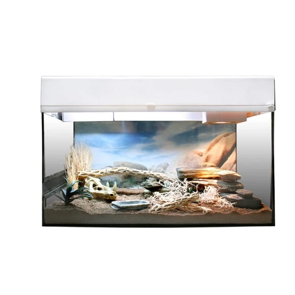 Lucky Reptile Terrarium Starter Kit 50 Cm "Wüstengecko" 4 Lucky Reptile Terrarium Starter Kit 50 Cm "Wüstengecko" – Bild 2
