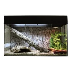 Lucky Reptile Terrarium Starter Kit 80 Cm "Schlange" -Heimtierbedarf Angebote lucky reptile terrarium starter kit 80 cm schlange schwarz 4