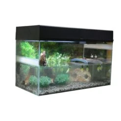 Lucky Reptile Terrarium Starter Kit 80 Cm "Wasserschildkröte" 6 Lucky Reptile Terrarium Starter Kit 80 Cm "Wasserschildkröte" -Heimtierbedarf Angebote lucky reptile terrarium starter kit 80 cm wasserschildkrote schwarz 2