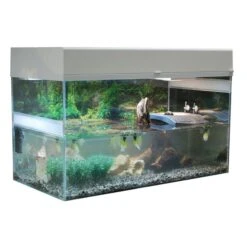 Lucky Reptile Terrarium Starter Kit 80 Cm "Wasserschildkröte" 7 Lucky Reptile Terrarium Starter Kit 80 Cm "Wasserschildkröte" -Heimtierbedarf Angebote lucky reptile terrarium starter kit 80 cm wasserschildkrote schwarz 3