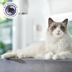 ZooRoyal Tigrooo Multi-Cat -Heimtierbedarf Angebote multicat 2