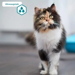 ZooRoyal Tigrooo Multi-Cat -Heimtierbedarf Angebote multicat 3