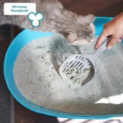 ZooRoyal Tigrooo Multi-Cat -Heimtierbedarf Angebote multicat 5