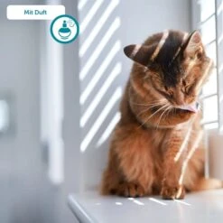 ZooRoyal Tigrooo Multi-Cat -Heimtierbedarf Angebote multicat 7