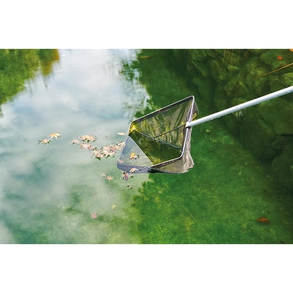 Oase Algenkescher 4 Oase Algenkescher – Bild 2