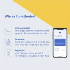 Pezz Urintest Kit Für Hunde -Heimtierbedarf Angebote pezz urintest kit fur hunde 3