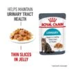 Royal Canin FCN Urinary Care Jelly -Heimtierbedarf Angebote royal canin urinary care jelly web 1