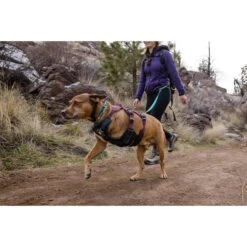 Ruffwear Geschirr Web Master Purple Rain -Heimtierbedarf Angebote ruffwear geschirr web master purple rain web 11