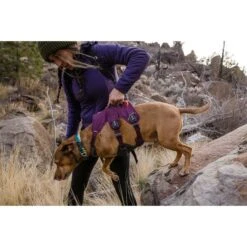 Ruffwear Geschirr Web Master Purple Rain -Heimtierbedarf Angebote ruffwear geschirr web master purple rain web 8
