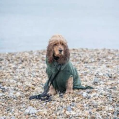 Heimtierbedarf Angebote -Heimtierbedarf Angebote rukka pets bademantel medea 2Ug6qQJeQvi3qF