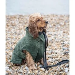 Rukka Pets Medea Eco Bademantel 11 Rukka Pets Medea Eco Bademantel -Heimtierbedarf Angebote rukka pets bademantel medea 3aWklWkBu7Zcrv