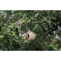 Singing Friend Futterspender Lisa Keramik Beige 6 Singing Friend Futterspender Lisa Keramik Beige -Heimtierbedarf Angebote singing friend futterspender lisa keramik beige 2