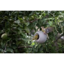 Singing Friend Futterspender Lisa Keramik Grau -Heimtierbedarf Angebote singing friend futterspender lisa keramik grau 2