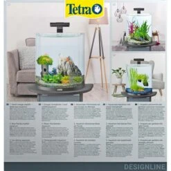 Tetra AquaArt Explorer Line Halfmoon Komplett-Set 30l -Heimtierbedarf Angebote tetra aquaart explorer line halfmoon komplett set 30l 5