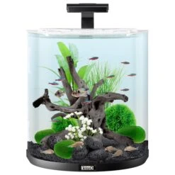 Tetra AquaArt Explorer Line Halfmoon Komplett-Set 60l -Heimtierbedarf Angebote tetra aquaart explorer line halfmoon komplett set 60l weiss 2