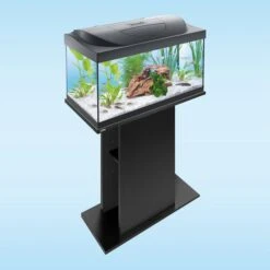 Tetra Starter Line LED Aquarium 54L -Heimtierbedarf Angebote tetra starterline led 54l 529ElqWRZCcSsC