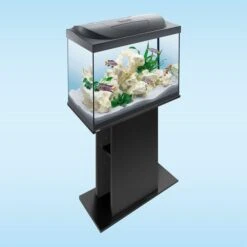 Tetra Starter Line LED Aquarium 80L 12 Tetra Starter Line LED Aquarium 80L -Heimtierbedarf Angebote tetra starterline led 80l 5ThYJNijn1f1VN